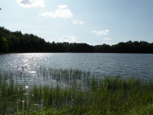 Jezioro Stary Staw, źródło: wikipedia.org