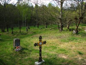 Zabytkowy cmentarz słowiński w Klukach Źródło: Wikipedia.org Autor: Mikołaj Kirschke