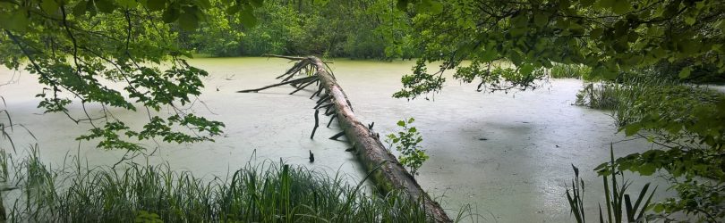 Jar Raduni. Przeturlanki na górskim szlaku 9