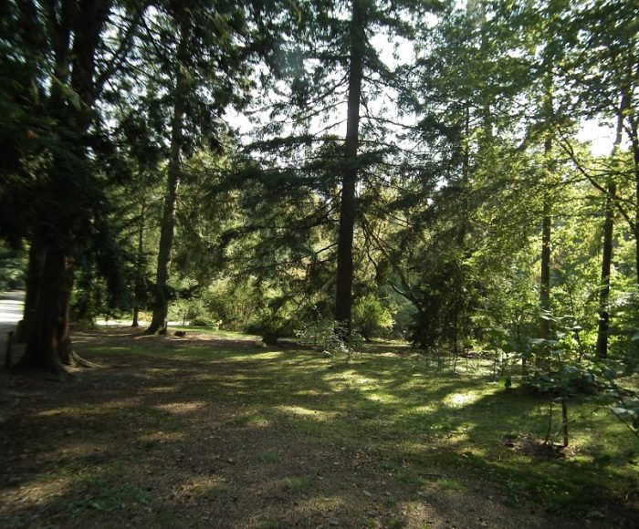 Arboretum w Kozinie 1
