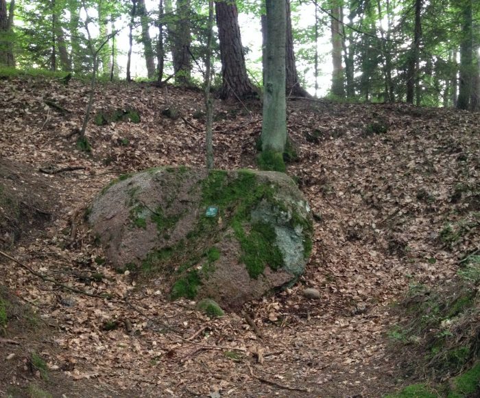 Lipusz. Diabelski Kamień, pomnik przyrody nieożywionej z legendą w tle