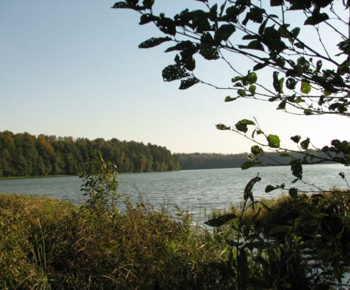 Człuchów i okolice. Obszary krajobrazu chronionego okolic jezior Krępsko i Szczytno. Osiedle Kormoranów 1