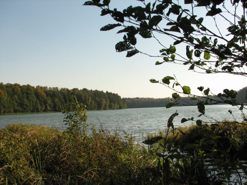 Człuchów i okolice. Obszary krajobrazu chronionego okolic jezior Krępsko i Szczytno. Osiedle Kormoranów 1
