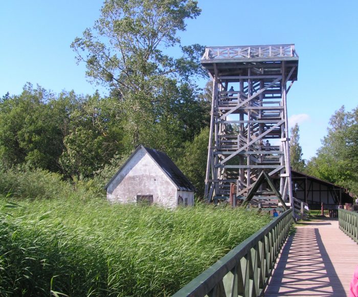 Rąbka – wieża widokowa w Słowińskim Parku Narodowym