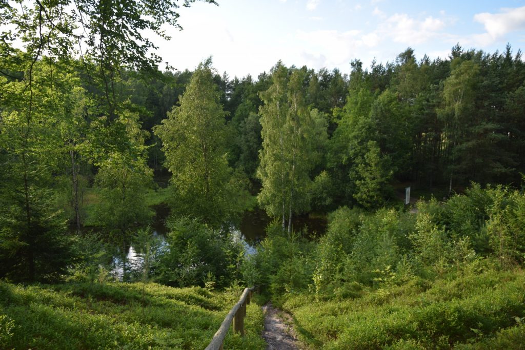 Kamienica Królewska - Łączyno. Najdłuższy szlak rowerowy Kaszubskiego Parku Krajobrazowego
