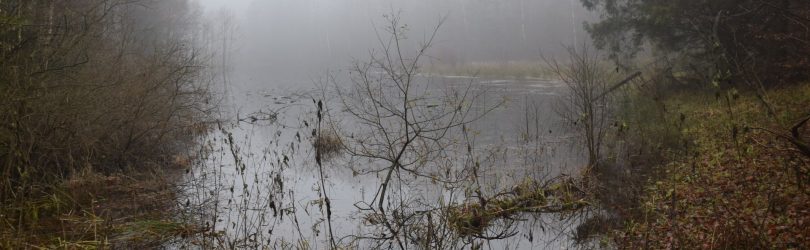 Na Górę Tamową. Wycieczka sprzed stu lat 21