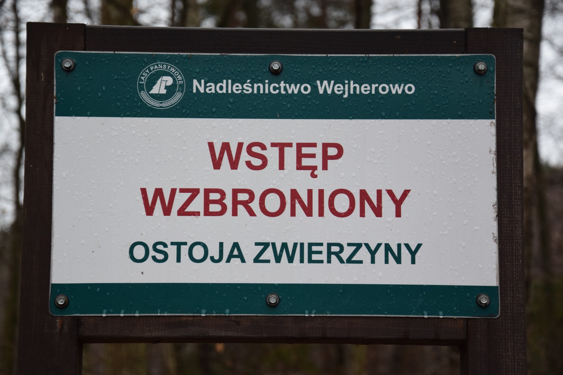 Przy drodze Wejherowo - Celbowo. Fot. Tomasz Słomczyński/Magazyn Kaszuby