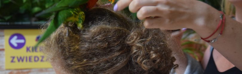 ZOO w Tuchlinie. Egzotyczne Kaszuby. Fot. Tomasz Słomczyński/Magazyn Kaszuby