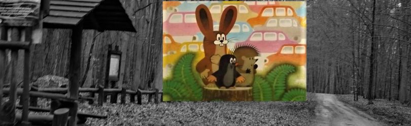 Puszcza Darżlubska. Zostawmy ją w spokoju [FELIETON]