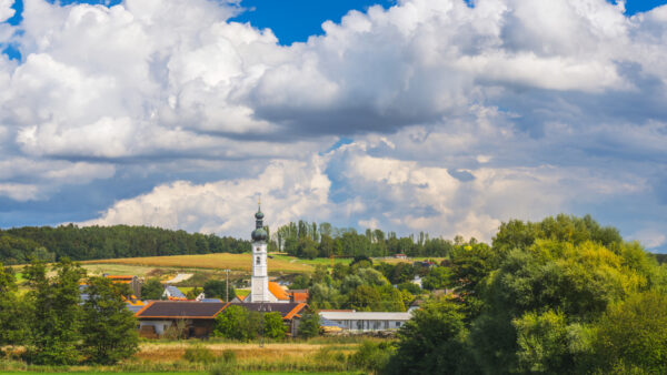 Przewodnik po Kaszubskich Rezerwatach Przyrody