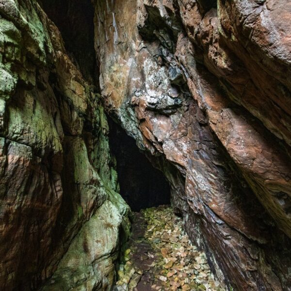 Speleologia w Polsce: Jaskinie dla Amatorów i Zaawansowanych Odkrywców